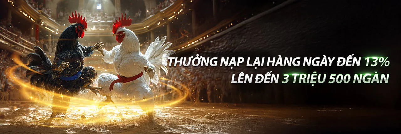 Hình ảnh chính Blog 88 xx với tin tức cá cược và khuyến mãi mới nhất
