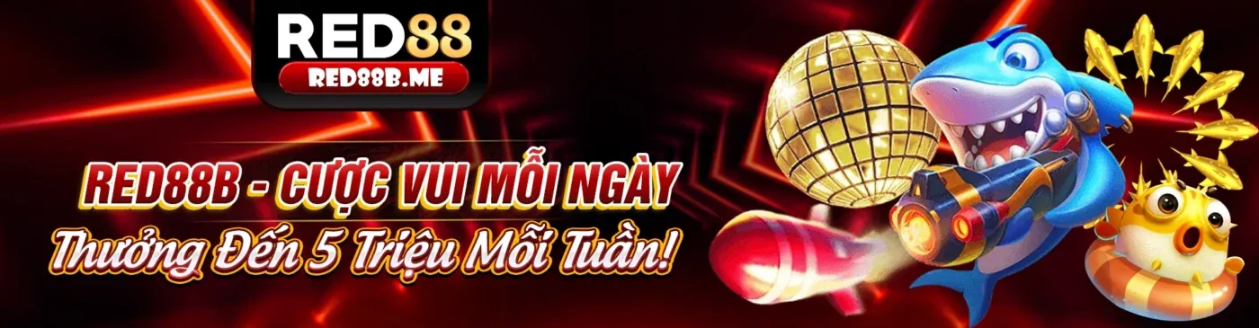 Bảo vệ dữ liệu cá nhân theo GDPR tại 88 xx