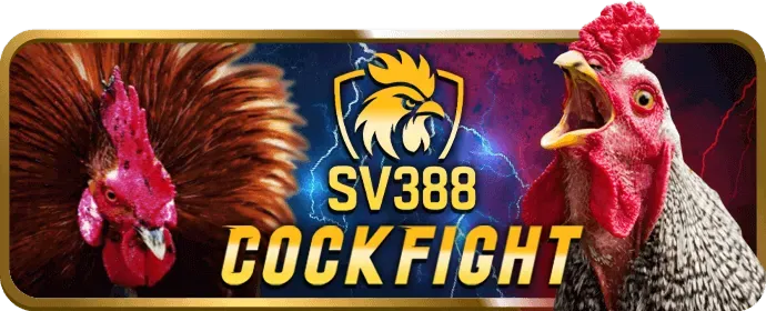 Giới thiệu về 88 xx